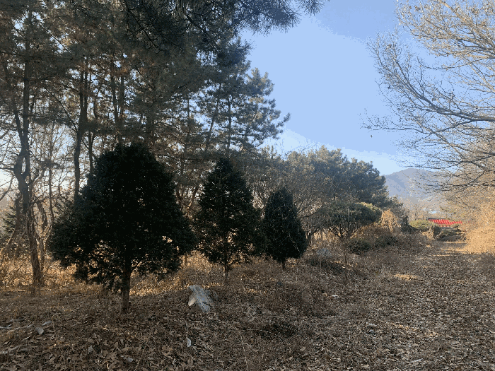 일련번호(3) 내부