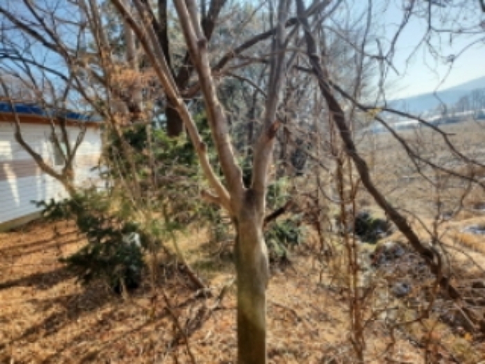 목록2. 전경