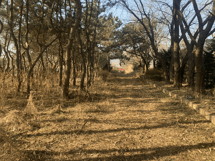 일련번호(3) 내부