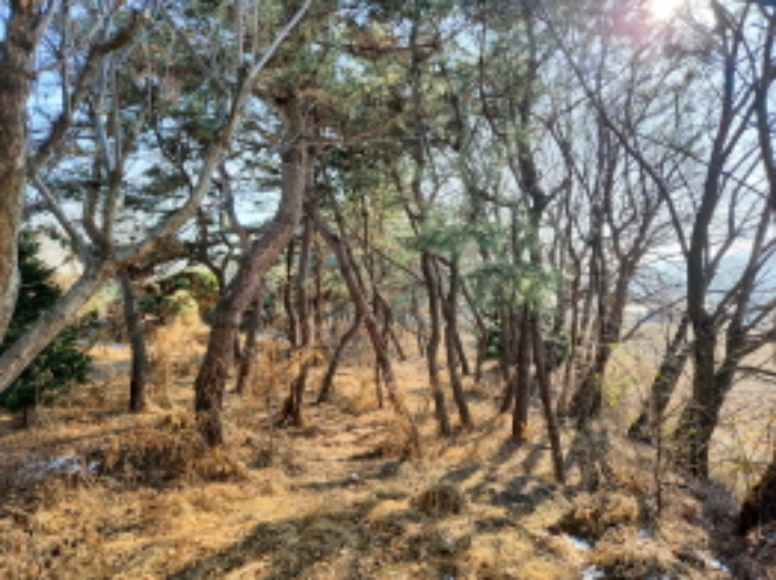 목록3. 전경