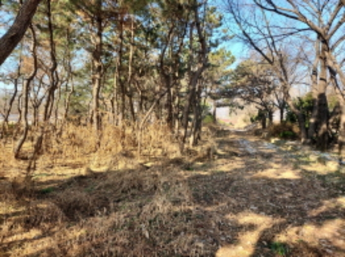 목록3. 전경