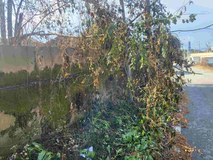 제시 목록 4 부동산 전경