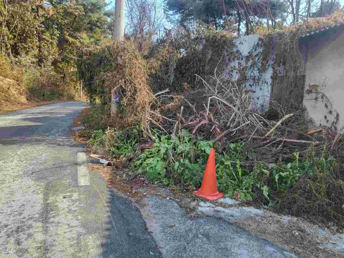 제시 목록 4 부동산 전경
