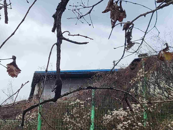 제시 목록 1, 5 부동산 전경