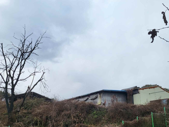 제시 목록 1, 5 부동산 전경