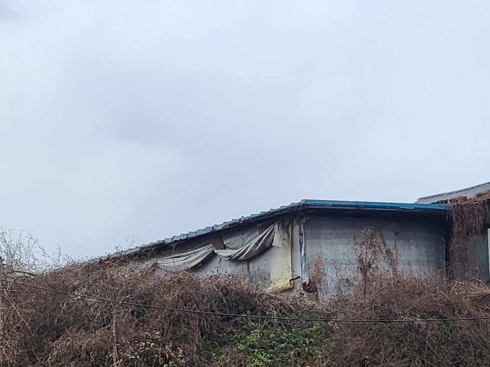 제시 목록 1, 5 부동산 전경