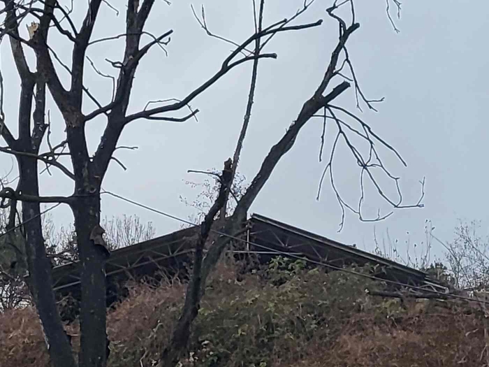 제시 목록 1, 5 부동산 전경