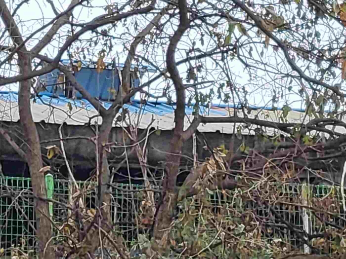 제시 목록 2, 6 부동산 전경