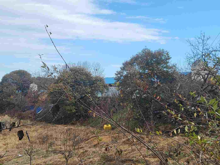 제시 목록 3, 7 부동산 전경