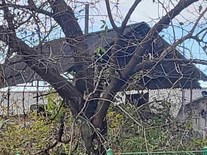 제시 목록 3, 7 부동산 전경