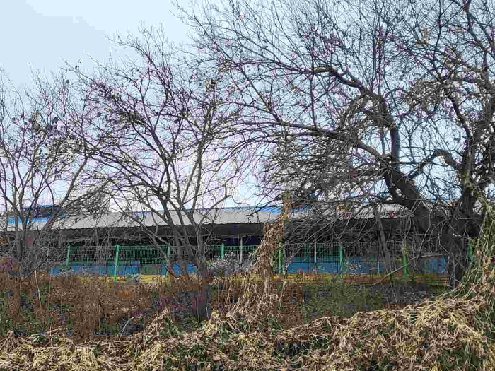 제시 목록 2, 6 부동산 전경