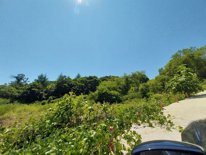 동측에서 촬영