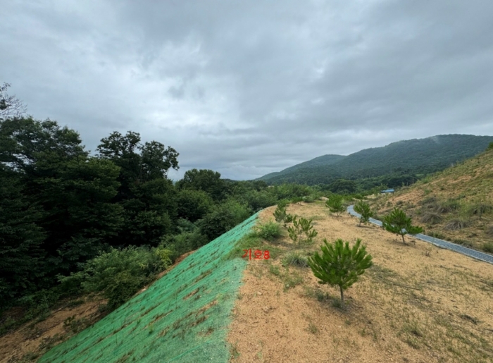 본건 전경(기호8)