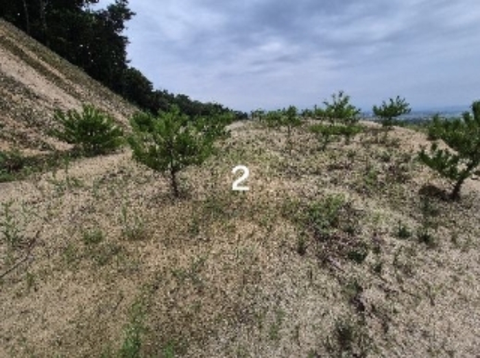 목록 2.