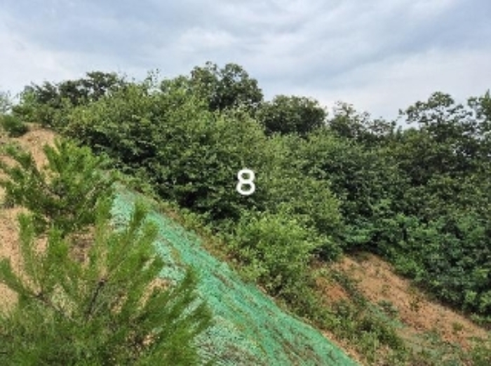 목록 8.