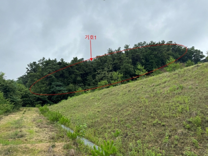 본건 전경(기호1)