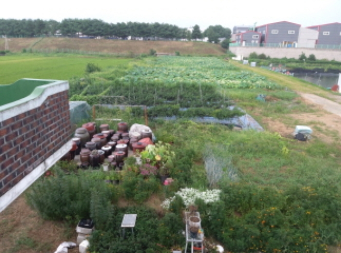 * 목록2. 전경(고추밭, 연꽃)