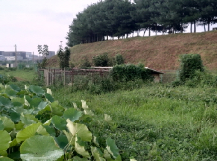 * 목록2. 지상 개사육시설