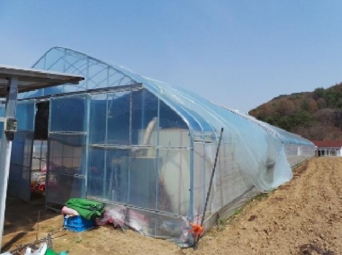 기호 1번 지상에 소재하는 것으로 보이는 제시외 비닐하우스