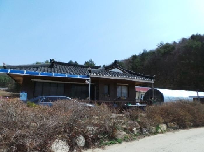 기호 2번 근거리에서 촬영한 것임
