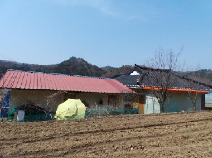 기호 2번 근거리에서 촬영한 것임