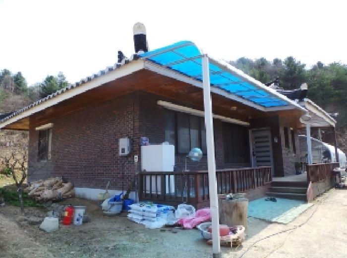 기호 3번 근거리에서 촬영한 것임