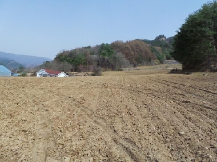 기호 1번 근거리에서 촬영한 것임