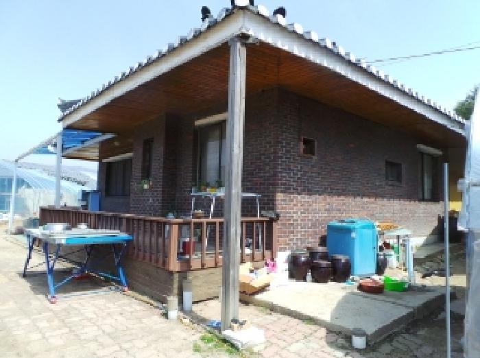 기호 3번 근거리에서 촬영한 것임