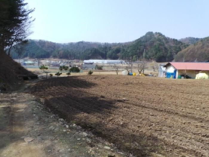 기호 1번 근거리에서 촬영한 것임