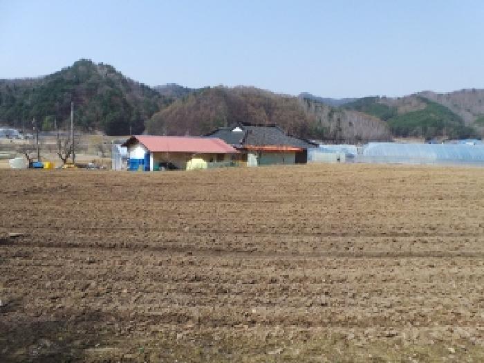기호 1번 근거리에서 촬영한 것임