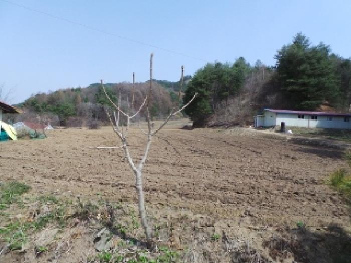 기호 1번 근거리에서 촬영한 것임