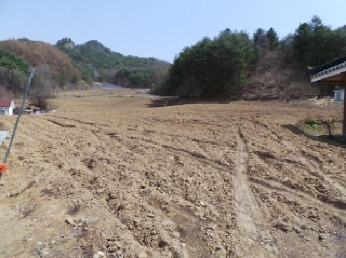 기호 1번 근거리에서 촬영한 것임