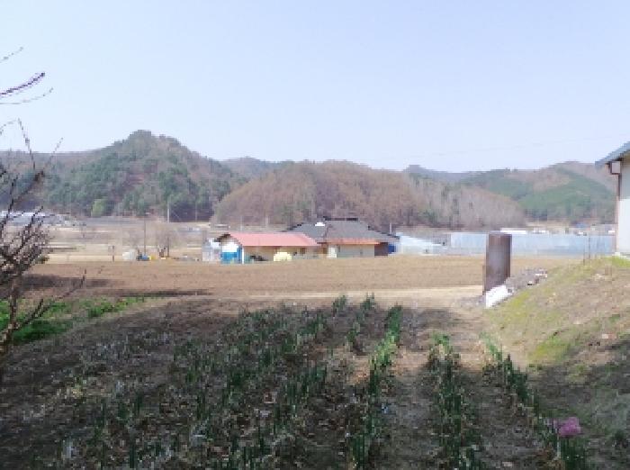 기호 1번 근거리에서 촬영한 것임
