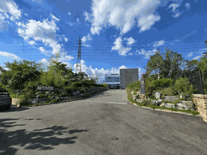 감정서 표지사진