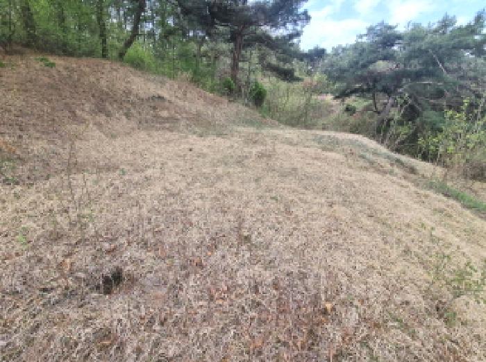 목록6 제시외 분묘1 모습