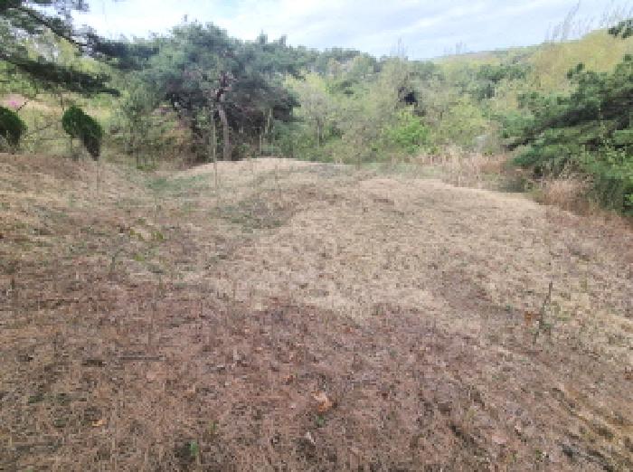 목록6 제시외 분묘1 모습