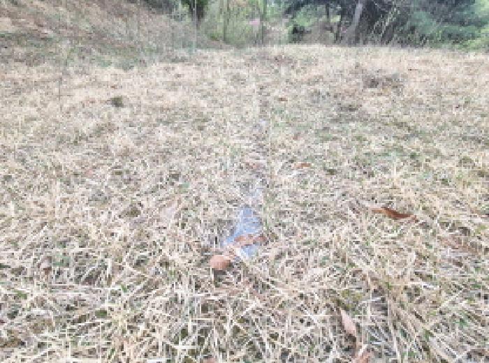 목록6 제시외 분묘1 모습