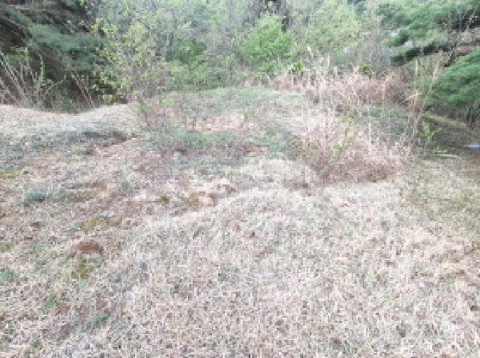 목록6 제시외 분묘1 모습