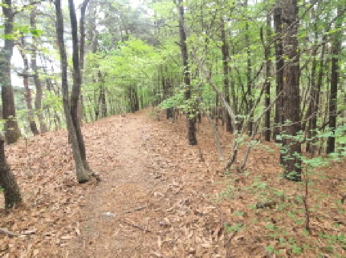 목록6 모습(남쪽)