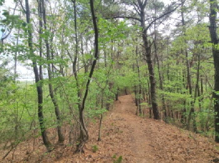 목록6 모습(남쪽)