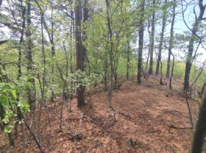 목록6 모습(서쪽)