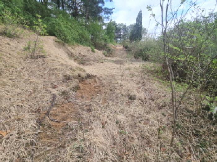 목록6 제시외 분묘4 모습