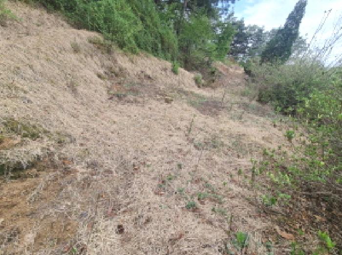 목록6 제시외 분묘4 모습