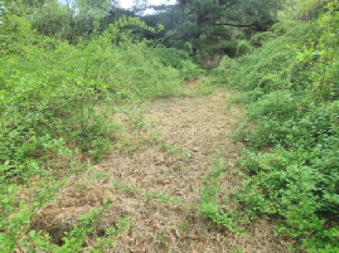 목록6 제시외 분묘5 모습