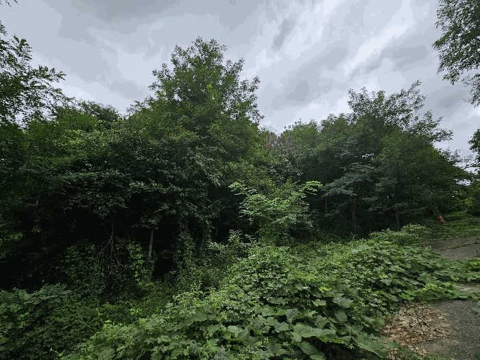 [ 일련번호 2) 전경 ]