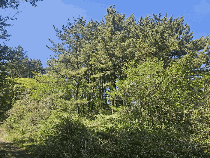 대상물건사진