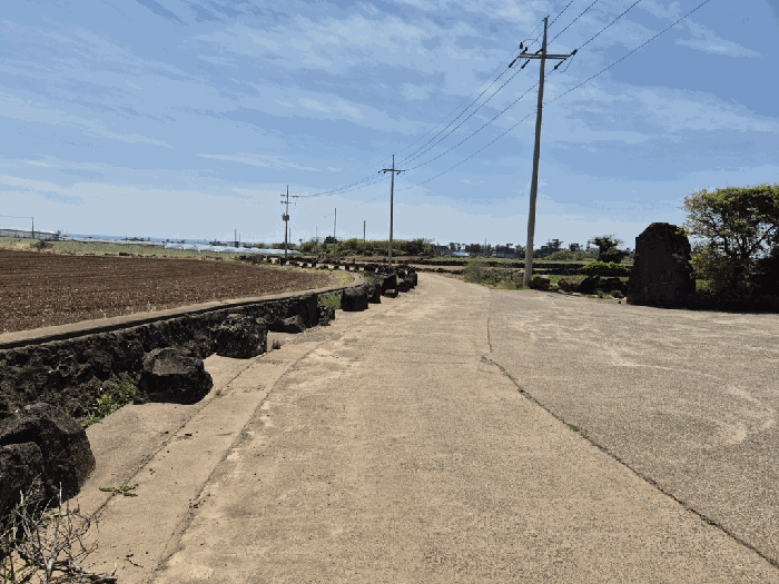 인접도로 및 주위환경