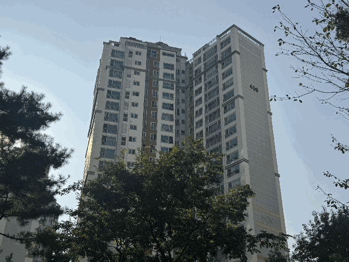 409동 전경
