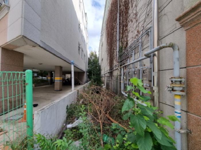 북쪽 경계선 모습