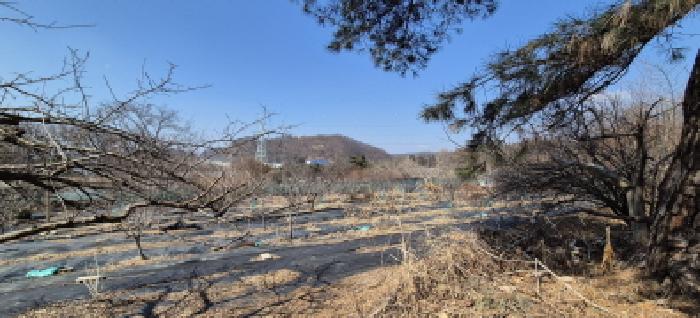 토지전경도(목록1,목록6)